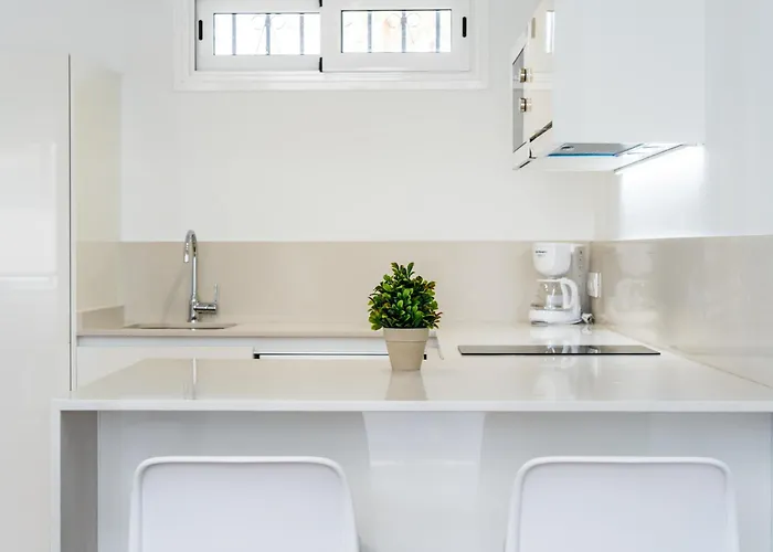 公寓 Alsol Nara 普拉亚戴尔雷安格莱斯